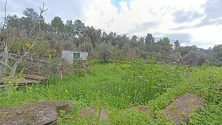Land for sale in Abrantes, Portugal — €29,500