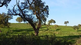 Land for sale in Santiago do Cacém, Portugal — €200,000