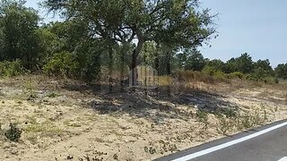 Land for sale in Palmela, Portugal — €180,000