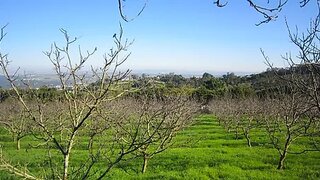Land for sale in Sintra, Portugal — €660,000