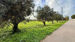 Land for sale in Sesimbra, Portugal — €215,000