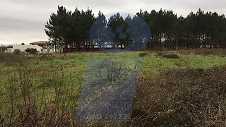 Land for sale in Oliveira do Bairro, Portugal — €35,000