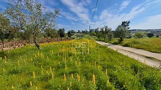 Land for sale in Almeirim, Portugal — €27,500