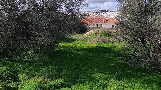 Land for sale in Aljustrel, Portugal — €67,000
