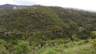 Terreno em Monchique