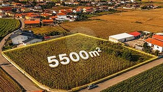 Land for sale in Oliveira de Azeméis, Portugal — €145,000