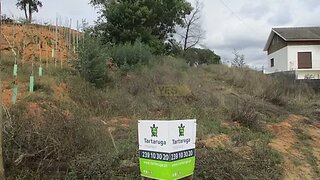 Land for sale in Condeixa-a-Nova, Portugal — €45,000