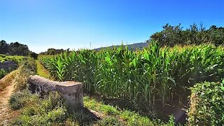 Land for sale in Caminha, Portugal — €120,000