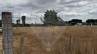 Terreno para venda em Palmela, Portugal — 36 000 €