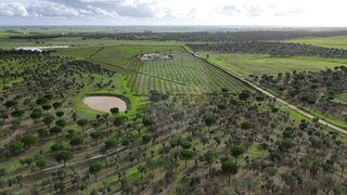 Land for sale in Aljustrel, Portugal — €2,250,000