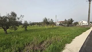 Land for sale in Pombal, Portugal — €65,000