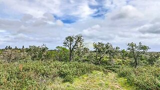 Land for sale in Grândola, Portugal — €235,000