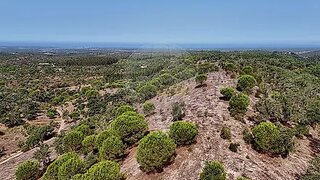 Terreno em Santiago do Cacém · 353 500 m² · 2 500 000 €