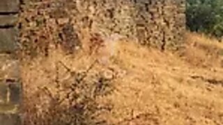 Land for sale in Silves, Portugal — €120,000