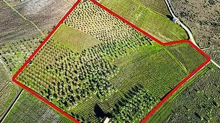 Land for sale in Freixo de Espada à Cinta, Portugal — €95,000