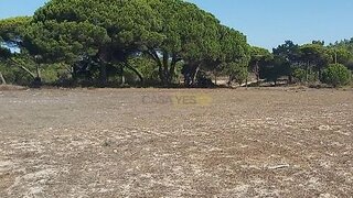 Terreno em Vila do Bispo