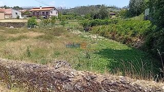 Land for sale in Albergaria-a-Velha, Portugal — €45,000