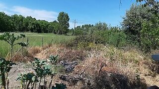 Land for sale in Nelas, Portugal — €28,000