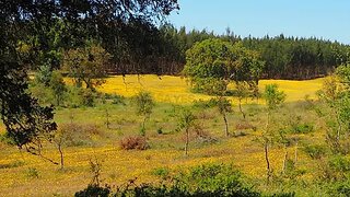 Land for sale in Santiago do Cacém, Portugal — €220,000