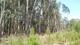 Land for sale in Ovar, Portugal — €20,000