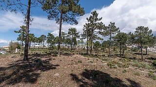 Land for sale in Alcácer do Sal, Portugal — €3,000,000