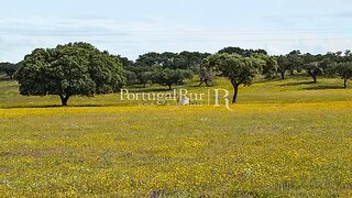 Terreno para venda em Alandroal, Portugal — 220 000 €