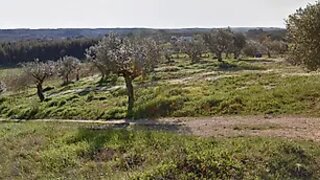 Land for sale in Rio Maior, Portugal — €35,000