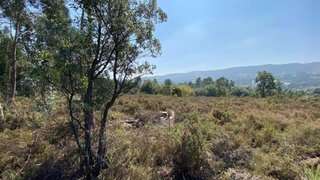 Terreno · 12 848 m² · 1 200 000 €
