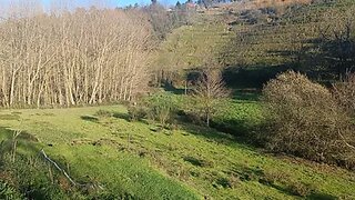 Land for sale in Lamego, Portugal — €45,000