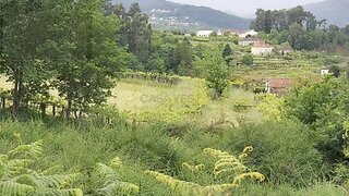 Land for sale in Melgaço, Portugal — €218,000