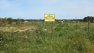 Land for sale in Caldas da Rainha, Portugal — €525,000
