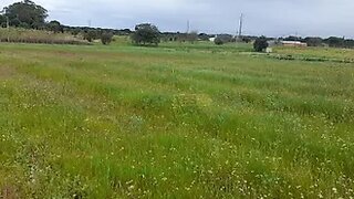Terreno · 25 000 m² · 50 000 €