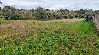 Terreno em Torres Novas · 2440 m² · 15 000 €