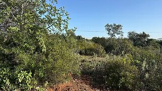 Land for sale in Faro, Portugal — €65,000