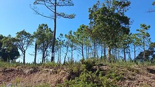 Land for sale in Caldas da Rainha, Portugal — €350,000