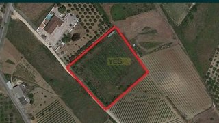 Terreno de 7000 m² em Alenquer