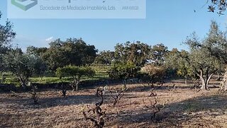 Land for sale in Castelo Branco, Portugal — €45,500