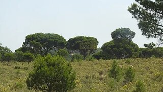 Land for sale in Grândola, Portugal — €180,000