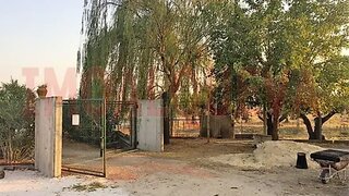 Land for sale in Reguengos de Monsaraz, Portugal — €63,500