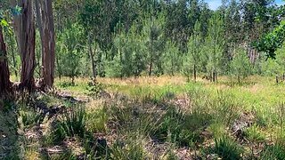Land for sale in Pedrógão Grande, Portugal — €25,000