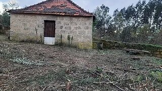 Land for sale in Santa Comba Dão, Portugal — €200,000