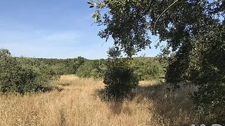 Land for sale in Ferreira do Zêzere, Portugal — €33,000