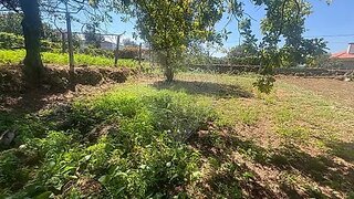 Land for sale in Ponte da Barca, Portugal — €55,000