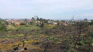 Land for sale in Albergaria-a-Velha, Portugal — €120,000