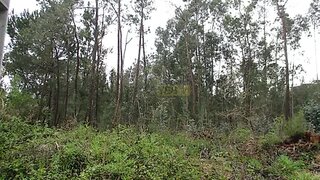 Land for sale in Condeixa-a-Nova, Portugal — €42,000