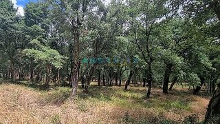 Land for sale in Porto de Mós, Portugal — €100,000
