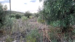 Land for sale in Elvas, Portugal — €54,500
