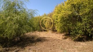 Land for sale in Castro Marim, Portugal — €23,000
