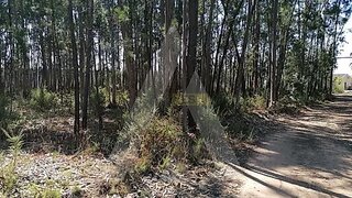 Land for sale in Águeda, Portugal — €92,500