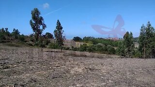 Land for sale in Lourinhã, Portugal — €29,600